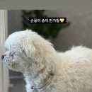 (주)송아 이미지