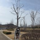 나들이 | 해운대 수목원 가족 나들이 후기 (주차 무료, 입장료 무료)