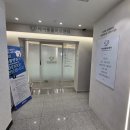 21세기종합동물병원 | 대구 수성구 동물병원 페르시안 파양묘 코코의 생애첫 고양이종합검진 후기