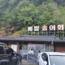 메밀꽃사랑