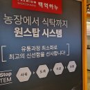 백억하누대천점 이미지