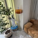 리움여성의원 이미지