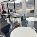 리츠펫 선물 이미지