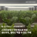 남강초등학교 | 진주 상대동 카페 살라트앤올되다, 체험도 가능한 샌드위치 맛집!