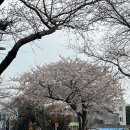 호근서호로 이미지