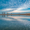 주) 여수비치리조트 이미지