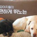 인숙농장 이미지