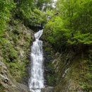 사랑으로 이미지