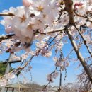 원고잔공원로 이미지