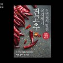 뉴코아백화점 이미지