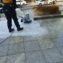 주식회사 푸르른 이미지