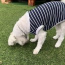 몽스토랑 이미지