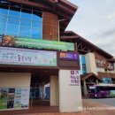 우주카클리닉 이미지