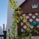 이레축산 이미지