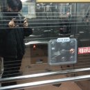 일진프라자 이미지