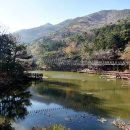 구덕야영장 이미지