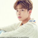 병아리날다 이미지