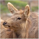 아현한의원 이미지