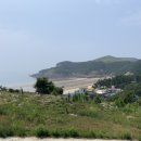 캐리비안민박 이미지