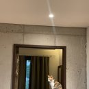 오씨주택 이미지