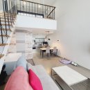 플레이독애견풀빌라 이미지