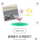 백년교동짬봉인