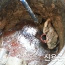 신용설비 이미지