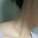 미드림성형외과의원 이미지