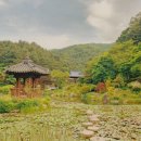 모아이펜션，모아이카페