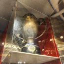 11545-11-38-04 | 티원카페&amp;HQ SHOP, 포토그레이x오너 프레임 후기 : 집관 짝꿍 생긴 날🐦‍🔥