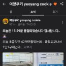 여양쿠키(yeoyang cookie)