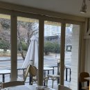 남구청 | 울산 남구청 에밀리 브런치 후기 | 이른 아침 오픈하는 카페