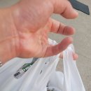 고향옥얼큰순대국 동패점 이미지