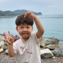 나로힐링캠핑장 이미지