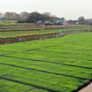 노안축산 이미지