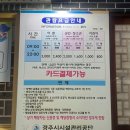 나팔꽃한의원 | 2024년 초여름 경주여행 2일차 | 향화정 한우물회 | 시티투어 핫플투어 후기 | 경주중앙야시장