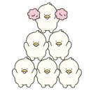 고양이 무마취 미용전문 이미지