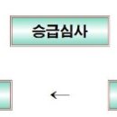 STS태권도장 이미지