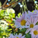 키즈키득펜션 이미지