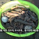 엠제이티 이미지