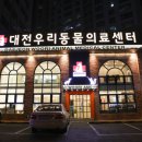 대전나무병원 이미지