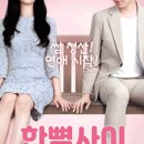 가비아노 이미지
