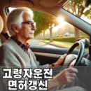 고령자 운전면허 적성검사 방법안내 [75세이상은?] 이미지