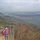 삼성산터널길 이미지