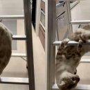 베이동물병원 이미지