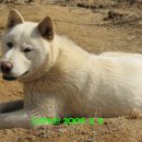 복둥이농장 이미지