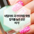 네일아트자격증 이미지
