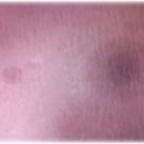 위드바이오 이미지