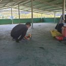 진주태양광 1발전소 이미지