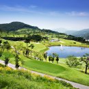 T골프존 이미지